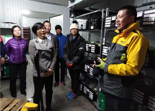 廣州僑聯(lián)主席梁瑞冰和員工親切交談，了解他們在荷蘭的生活情況