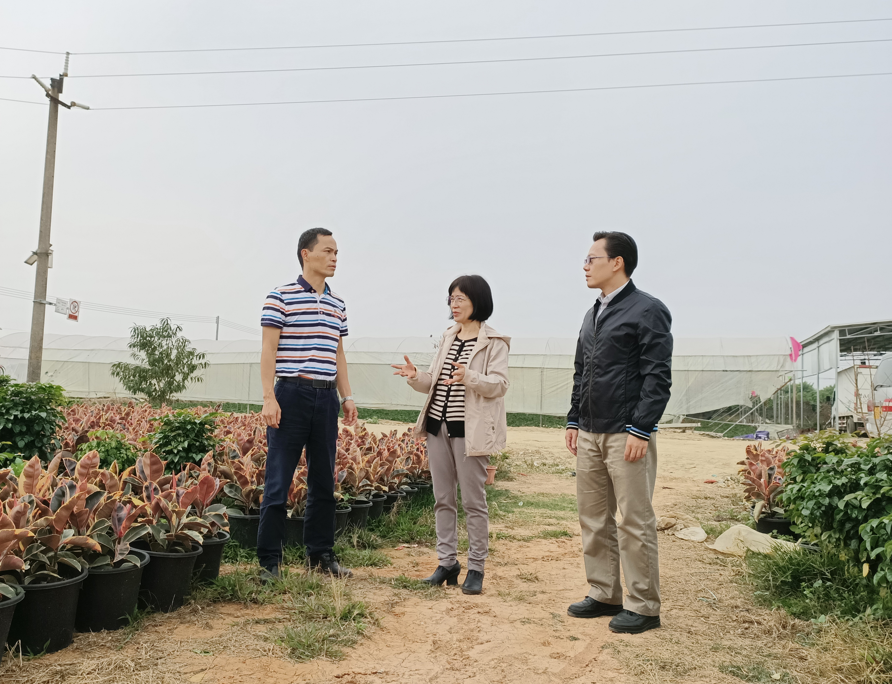 了解花卉種植經(jīng)營(yíng)情況.jpg