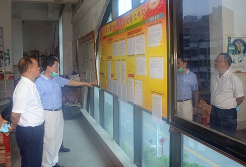 查看黨建帶僑建工作開(kāi)展情況_副本.jpg