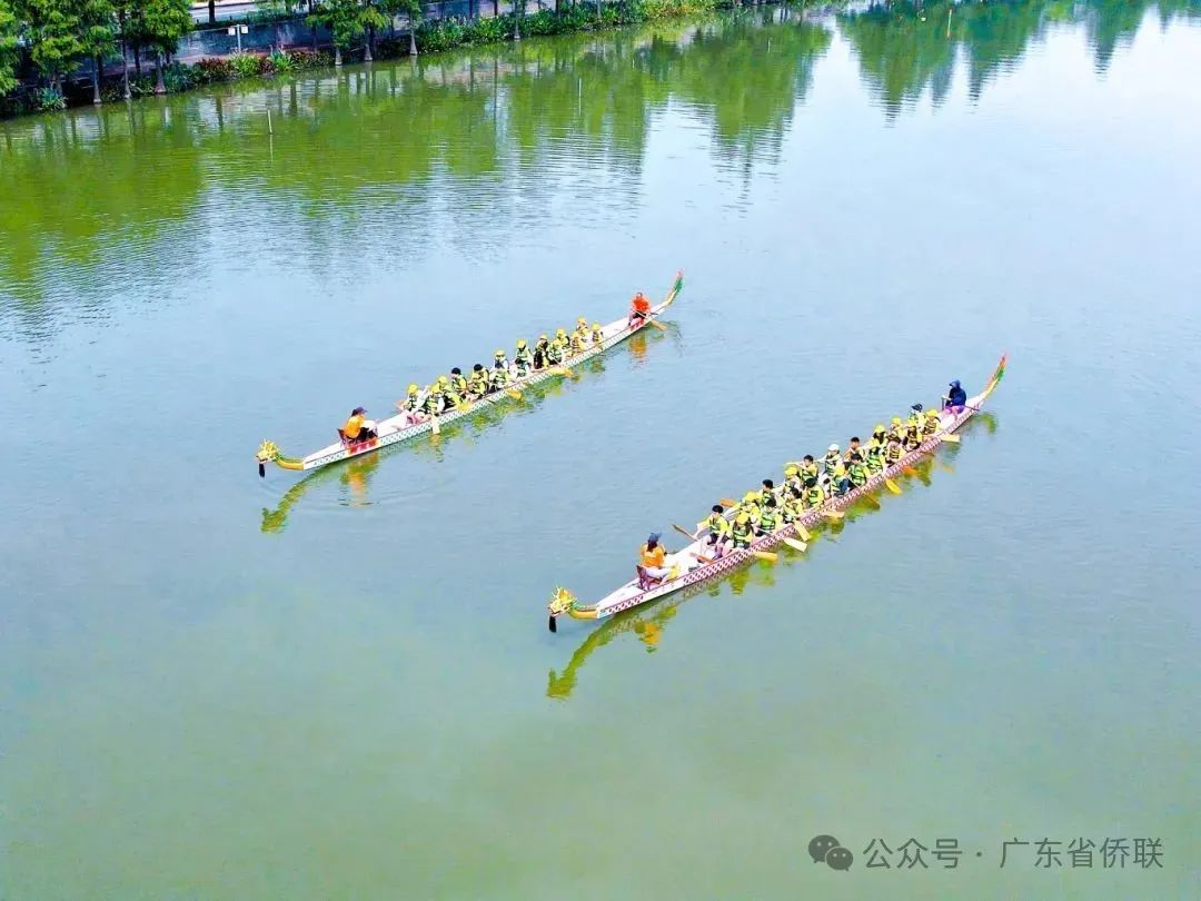 7月31日上午龍舟體驗(yàn)兩條龍船.jpg